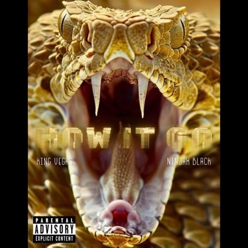 How It Go (feat. Ninja Black) [Explicit]