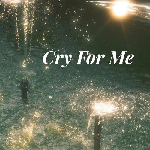 Cry For Me（Remix电音版）