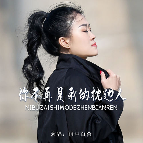 你不再是我的枕边人 (DJ版)