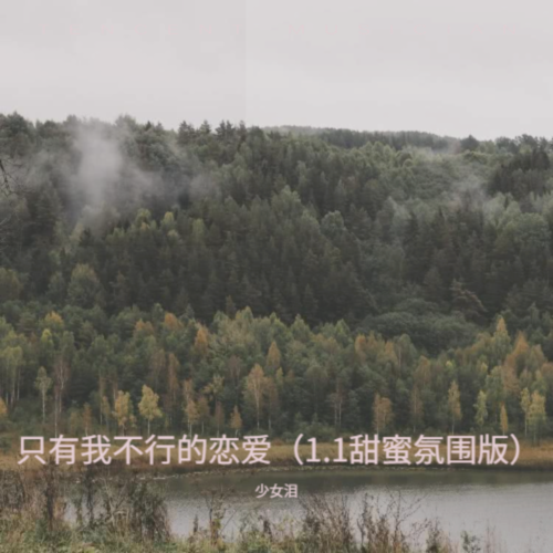 只有我不行的恋爱（1.1甜蜜氛围版）