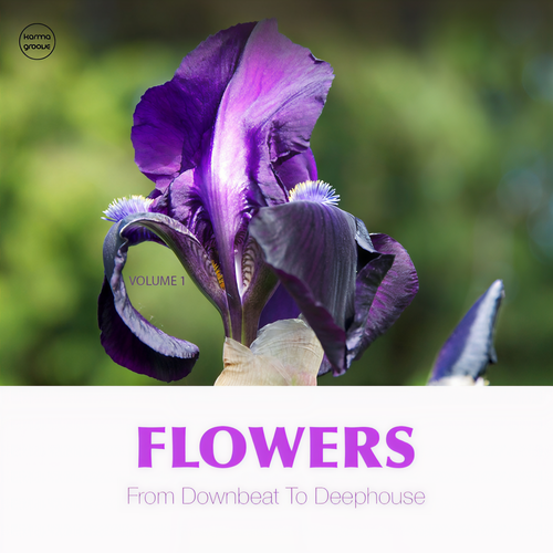 Flowers, Vol. 1 (From Downbeat to Deep House)