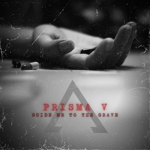 Guide me to the Grave (Explicit)