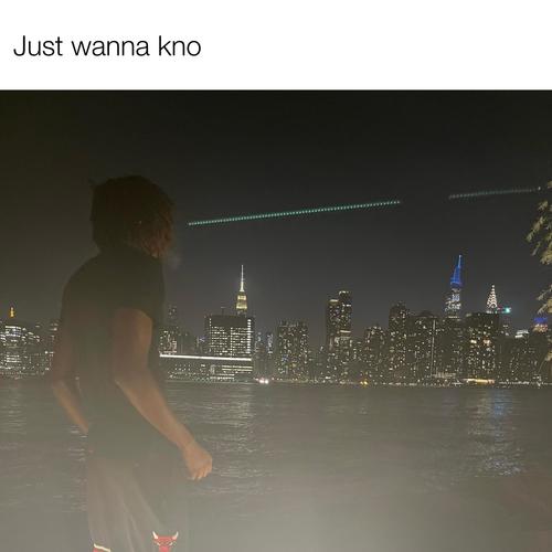 Just Wanna Kno (DxPop) [Explicit]