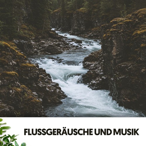 Flussgeräusche und Musik: Harmonien des fließenden Stroms