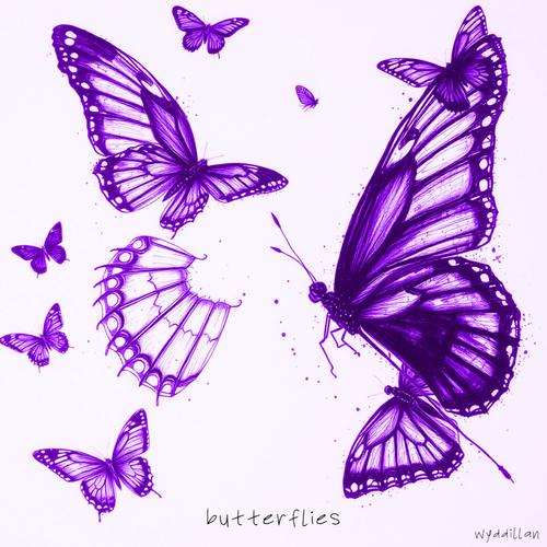 butterflies. (Explicit)