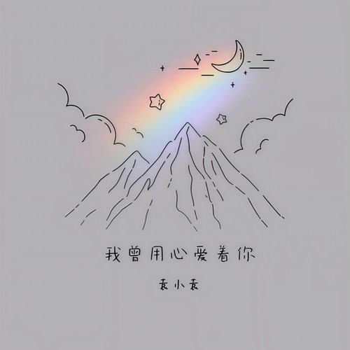 我曾用心爱着你