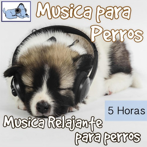 Música para Perros - 5 Horas Música Relajante Para Perros