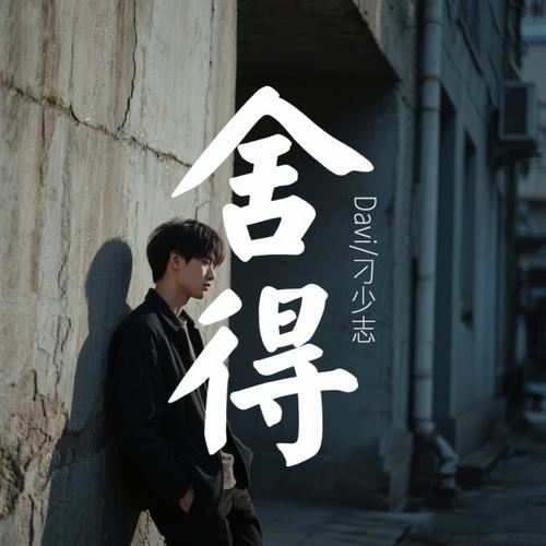 舍得 (深情版)