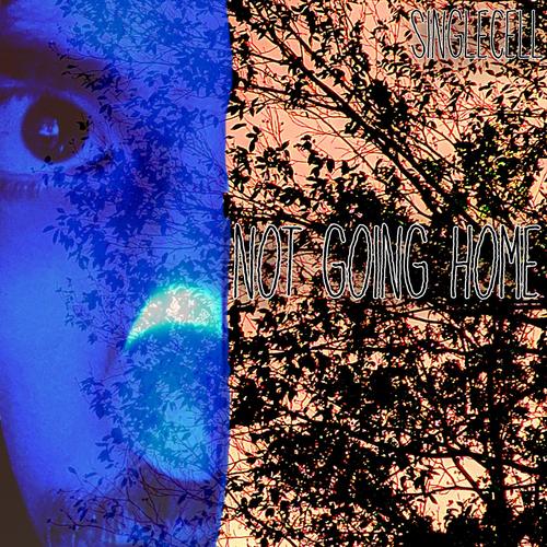 Not Going Home (Explicit)