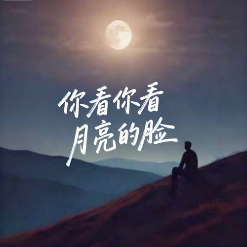 你看你看月亮的脸