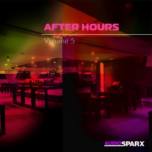 After Hours Volume 5