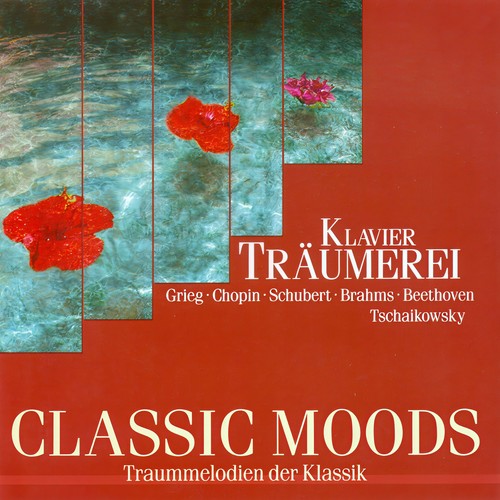 CLASSIC MOODS - BEETHOVEN, L. van / BACH, J.S. / CHOPIN, F. / BRAHMS, J. / MENDELSSOHN, Felix / SCHUMANN, R. / GRIEG, E.