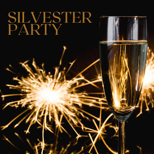 Silvester Party (Explicit)