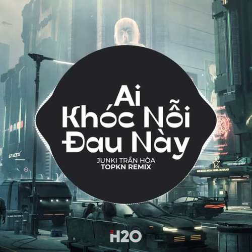 Ai Khóc Nỗi Đau Này (EDM Remix)