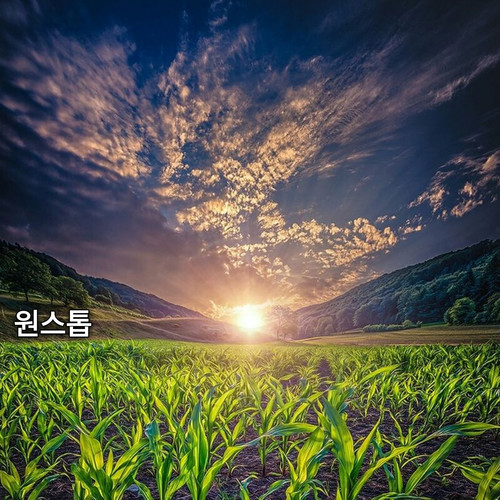 원스톱