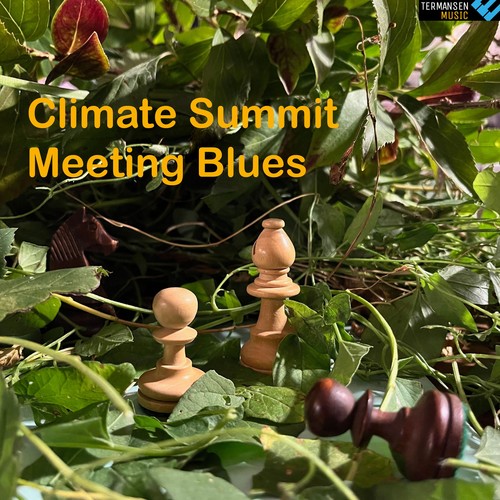 Climate Summit Meeting Blues