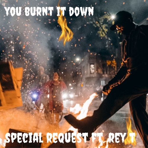 You Burnt It Down (Explicit)