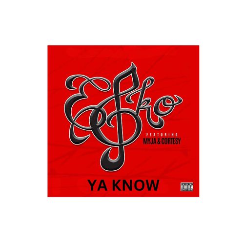 YA KNOW CLUB MIX (Explicit)