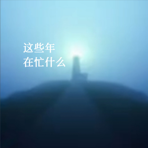 这些年在忙什么(未删减版)