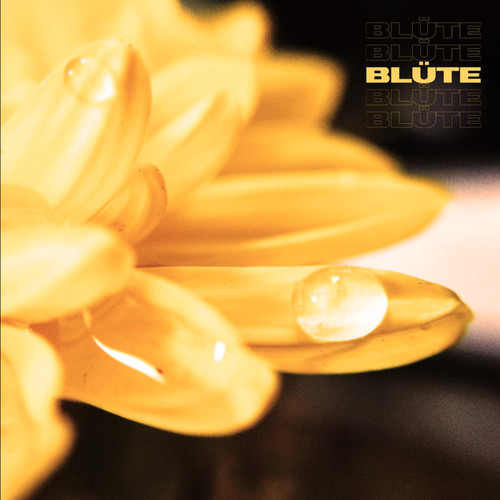 Blüte (Explicit)