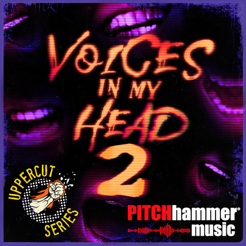 Voices In My Head, Vol 2