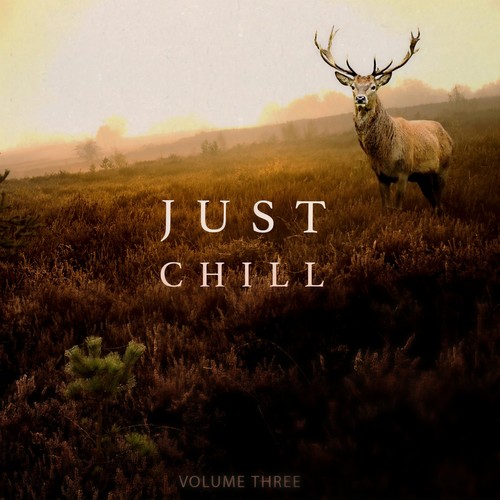 Just Chill - Chill Out & Relaxing Music, Vol. 3 (Amazing Chill Out & Ambient Music)