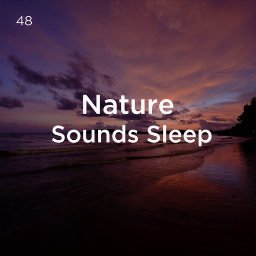 48 Nature Sounds Sleep