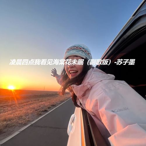 凌晨四点我看见海棠花未眠 (副歌版)
