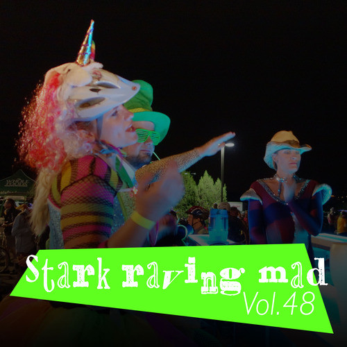 Stark Raving Mad, Vol. 48 (Explicit)