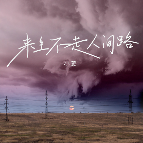 来生不走人间路