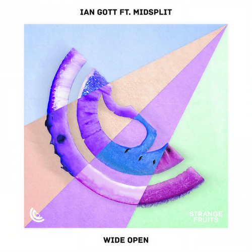 Wide Open (feat. Midsplit)