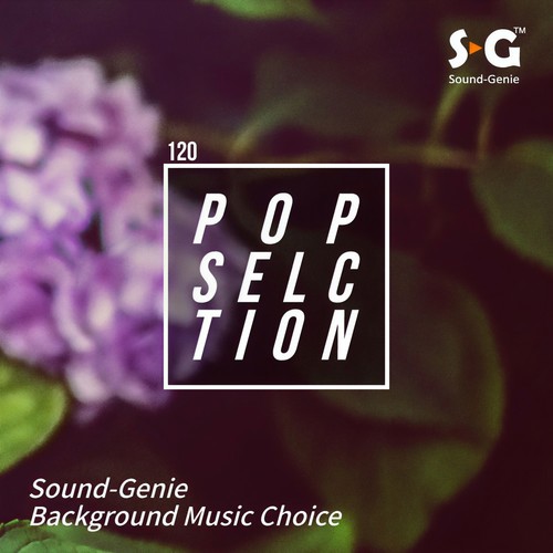 Sound-Genie Pop Selection 120