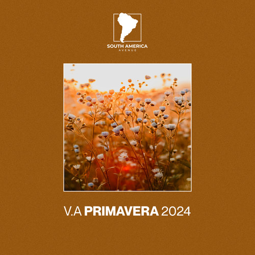 Primavera 2024