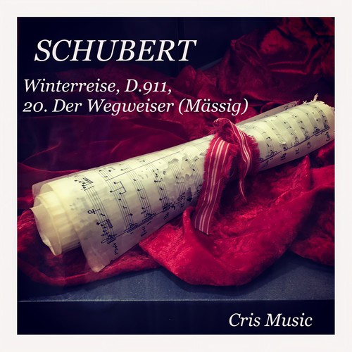 Schubert: Winterreise, D.911: 20. Der Wegweiser (Mässig)