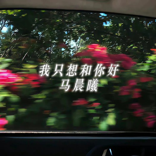 我只想和你好