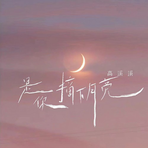 是你摘下月亮