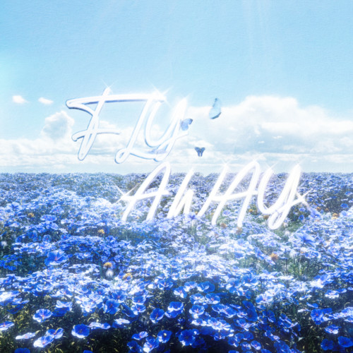 FLY AWAY