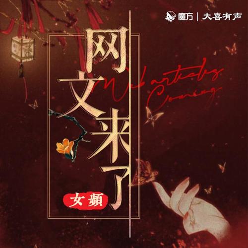 网文来了（女频）