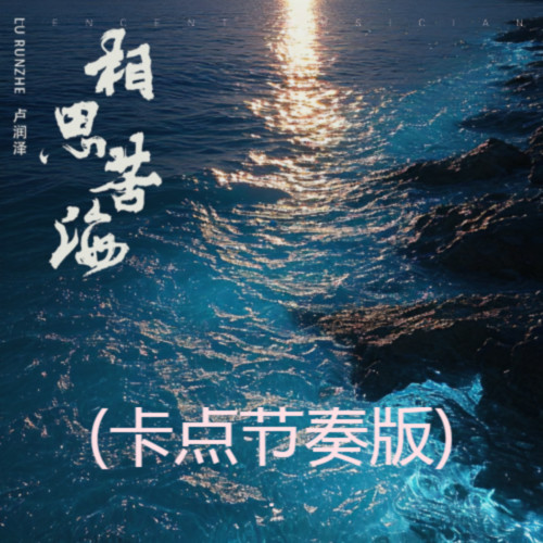 相思苦海(卡点节奏版)