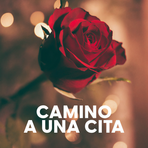 Camino a una cita