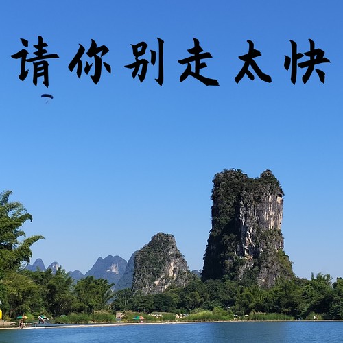 请你别走太快