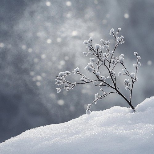 Frozen Realms