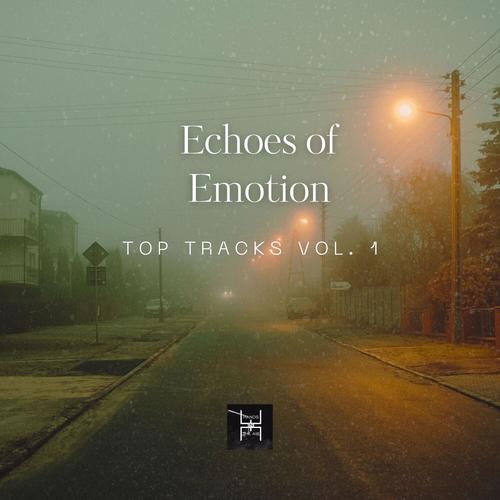 Echoes of Emotion: Top Tracks Vol. 1