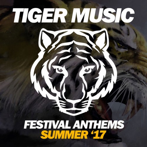 Festival Anthems (Summer '17)