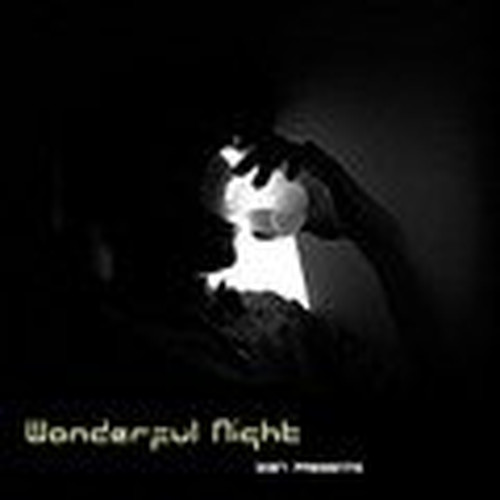 情调之夜第1辑-Wonderful Night