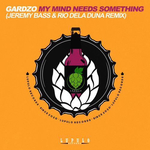 My Mind Needs Something (Jeremy Bass & Rio Dela Duna Remix)