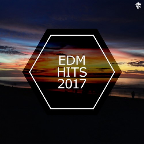 EDM Hits 2017