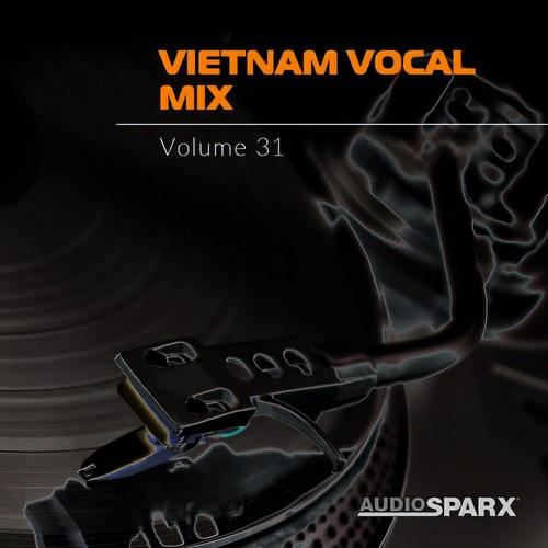 Vietnam Vocal Mix Volume 31