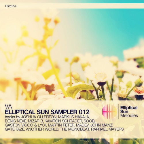 VA - Elliptical Sun Sampler 012