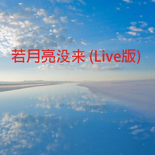 若月亮没来 (Live版)